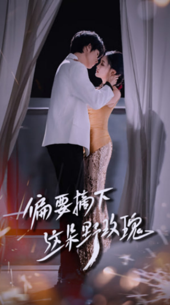 偏要摘下这朵野玫瑰