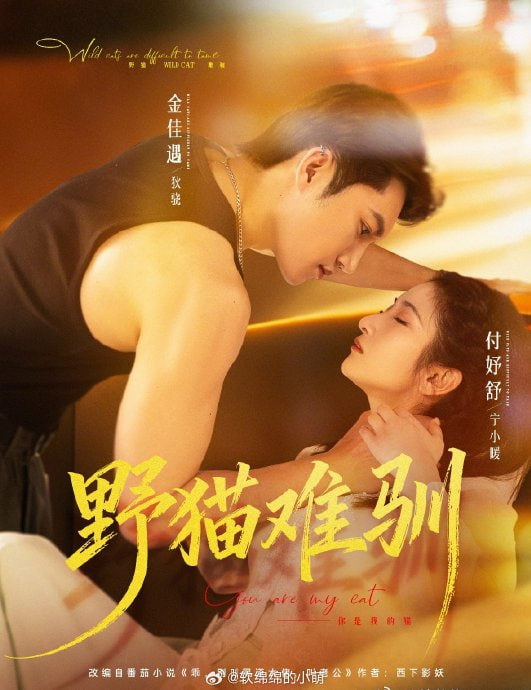 野猫难驯